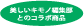 2008年夏号